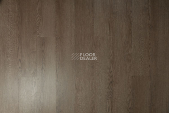 Tarkett Funky House TOM фото 7 | FLOORDEALER